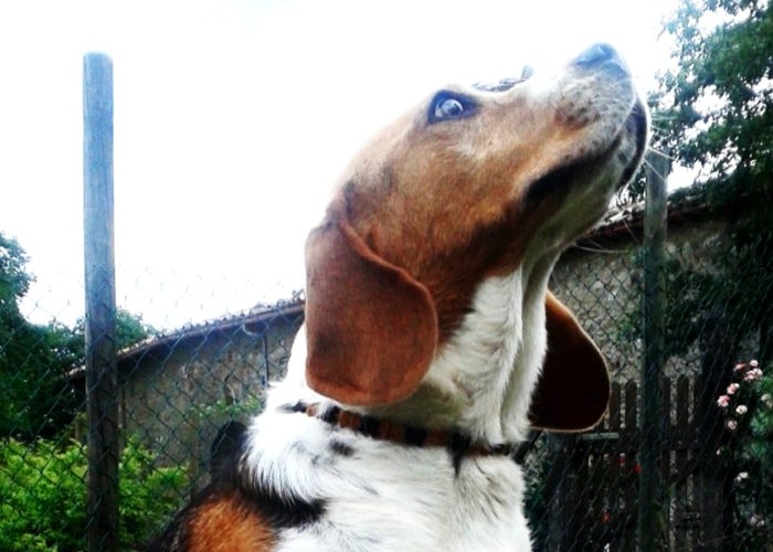 Lumii 20190922 185220064