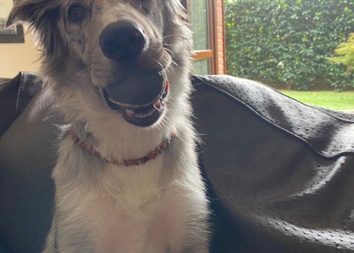 WhatsApp Image 2021 07 15 at 14.50.47