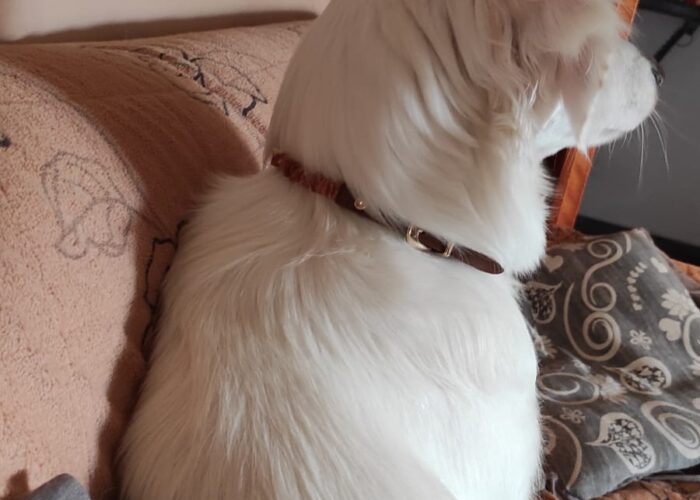 WhatsApp Image 2021 11 19 at 15.58.10