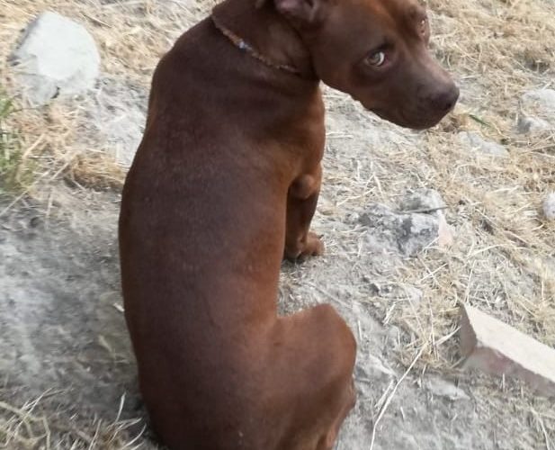 WhatsApp Image 2019 07 07 at 200242 1