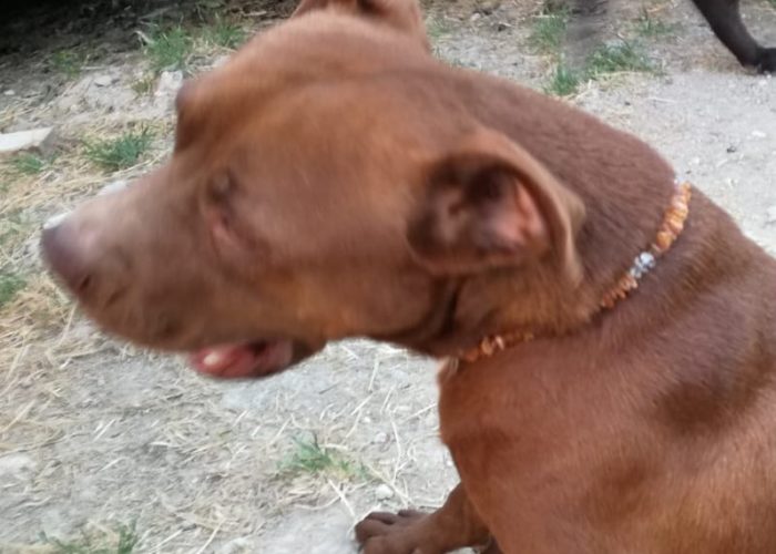 WhatsApp Image 2019 07 07 at 200523