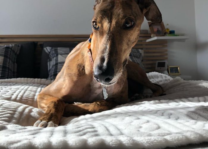 WhatsAppImage2019 01 12at203445