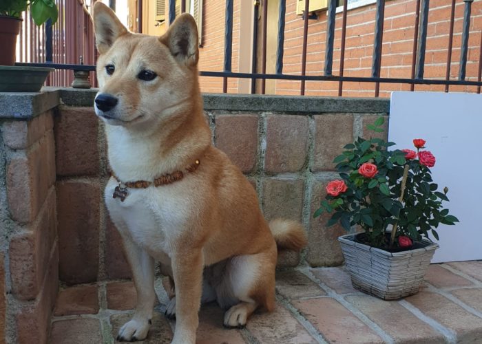 WhatsAppImage2019 10 09at140115